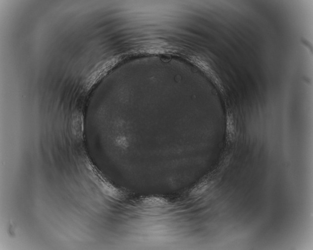 X0000102240397200808081441