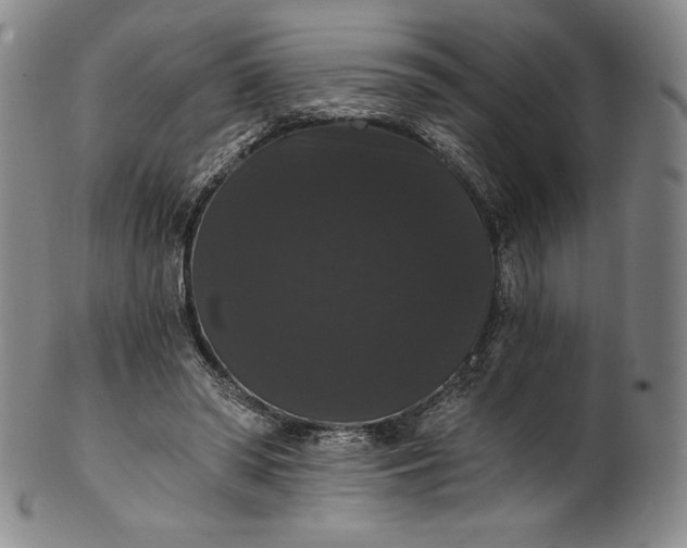 X0000102240398200808081441