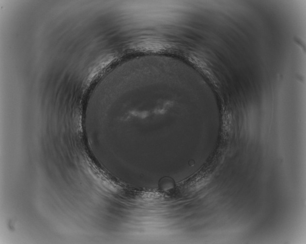 X0000102240399200808081441