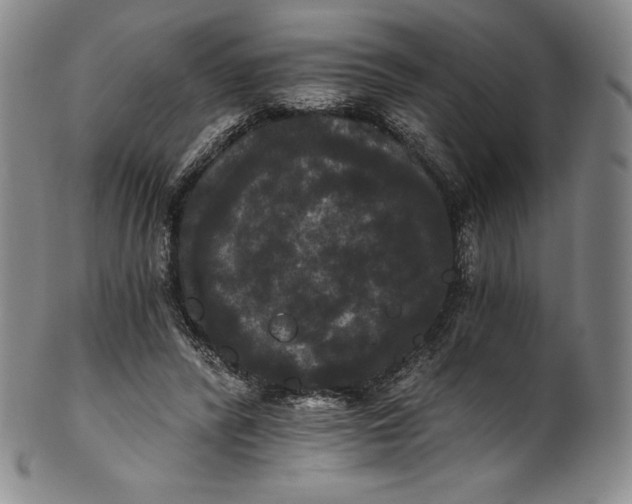 X0000102240400200808081441