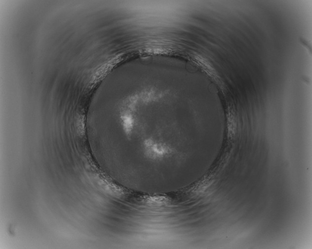 X0000102240401200808081441