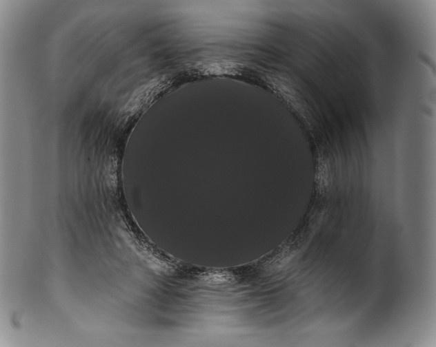 X0000102240402200808081441