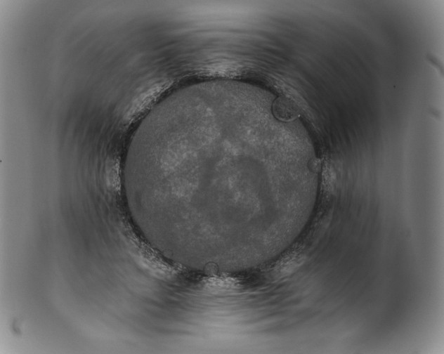 X0000102240403200808081441