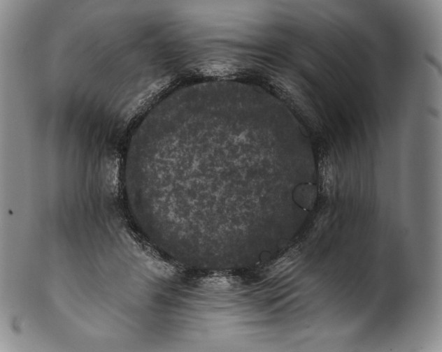 X0000102240404200808081441