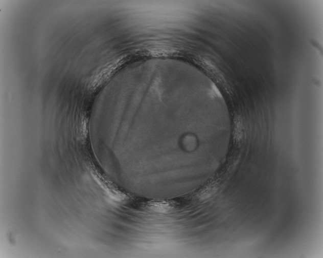 X0000102240405200808081441