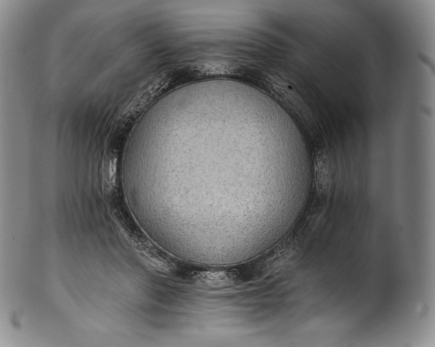 X0000102240406200808081441