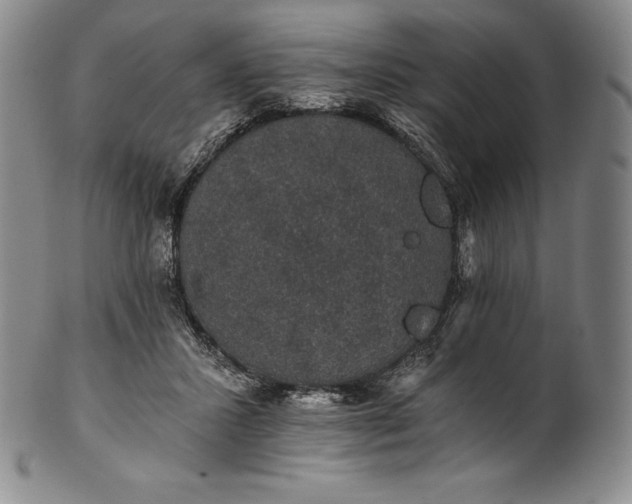 X0000102240407200808081441