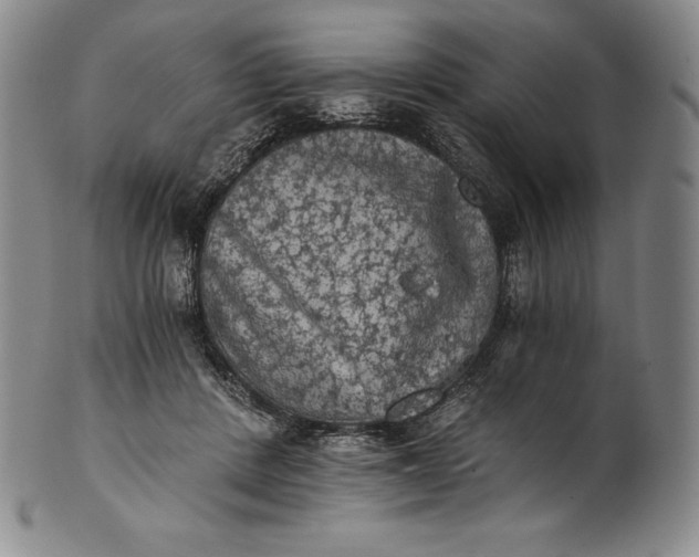 X0000102240408200808081441