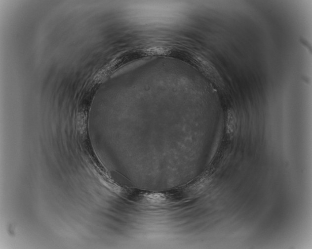 X0000102240409200808081441