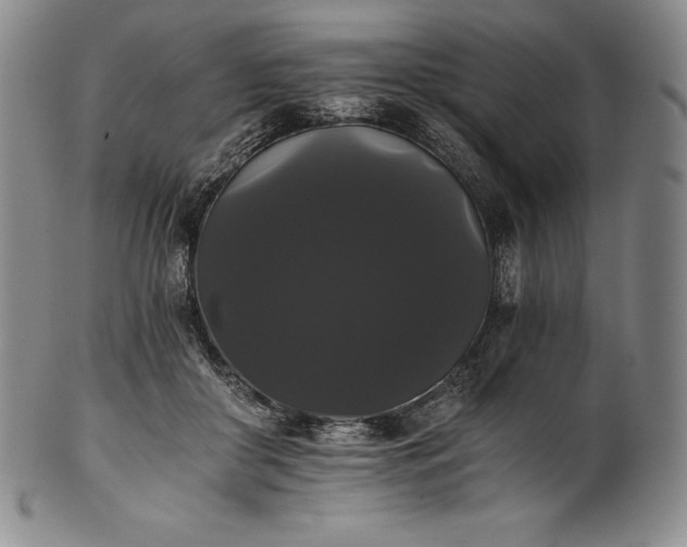 X0000102240410200808081441