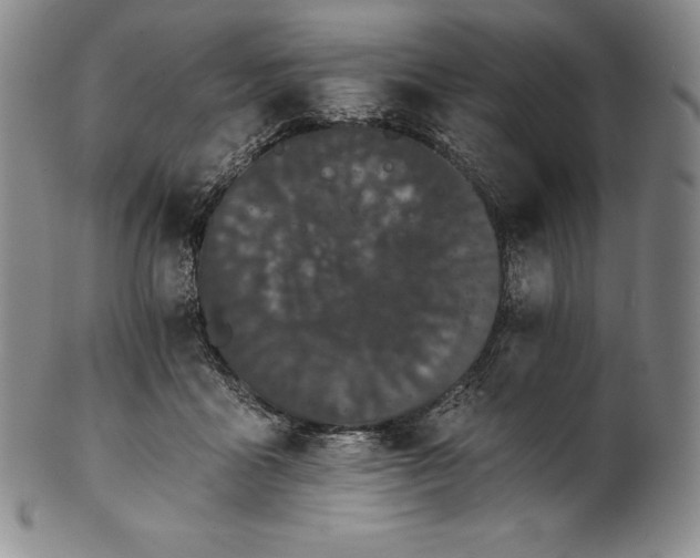 X0000102240411200808081441