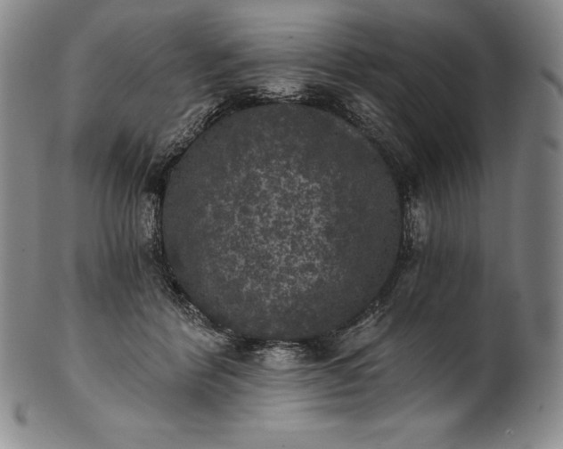 X0000102240412200808081441