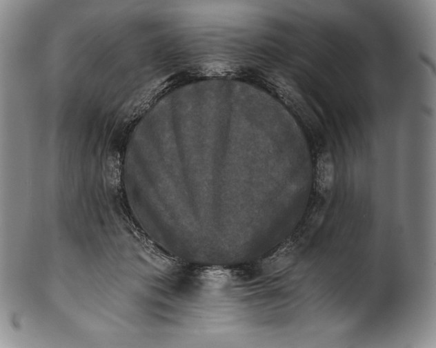 X0000102240413200808081441