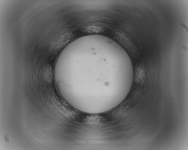 X0000102240414200808081440