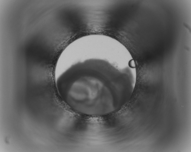 X0000102240415200808081440