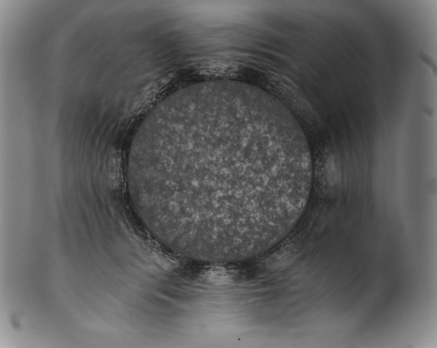 X0000102240416200808081440