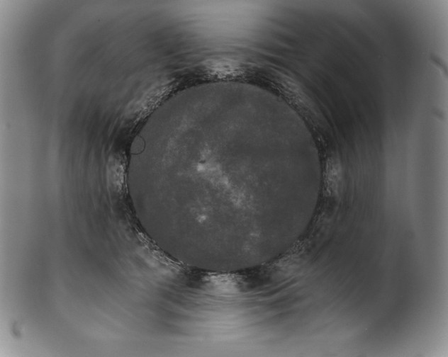 X0000102240417200808081440