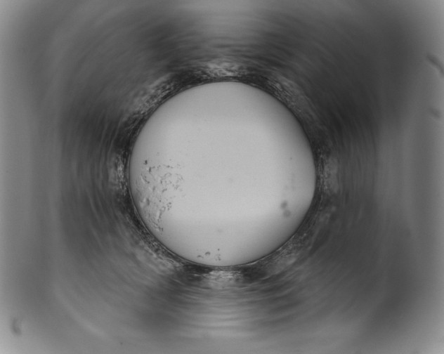 X0000102240418200808081440