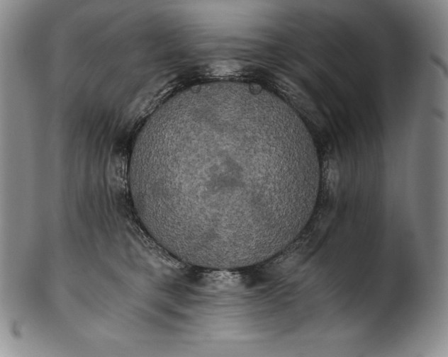 X0000102240421200808081440