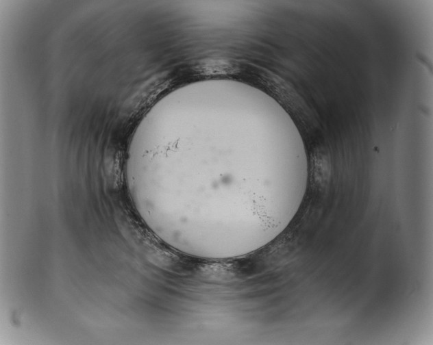 X0000102240422200808081440