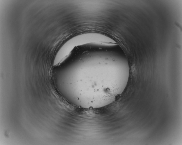 X0000102240423200808081440