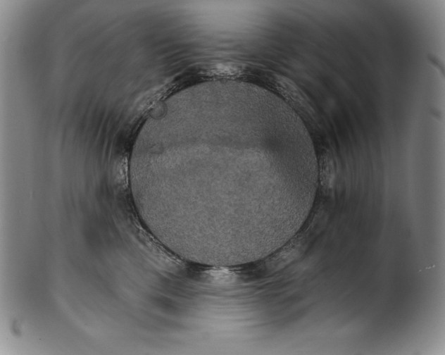 X0000102240425200808081440