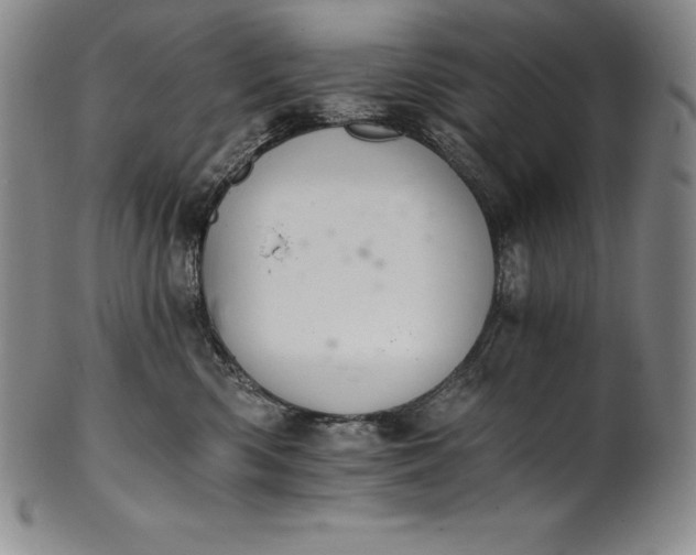 X0000102240426200808081440