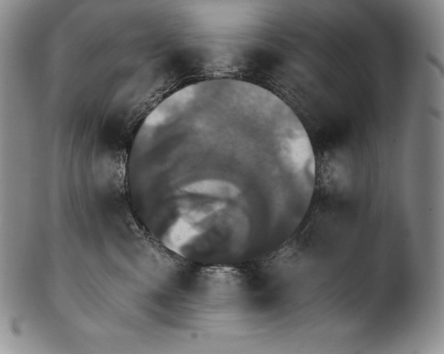 X0000102240427200808081440