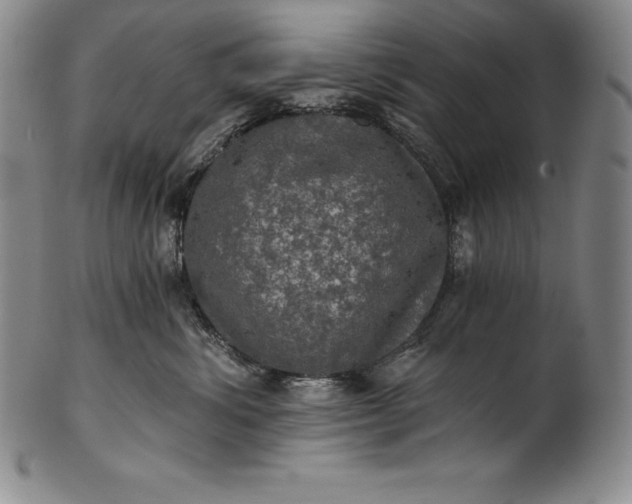 X0000102240428200808081440