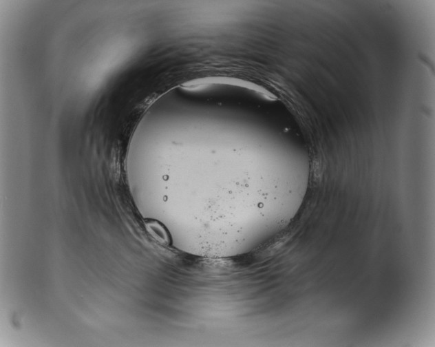 X0000102240429200808081440