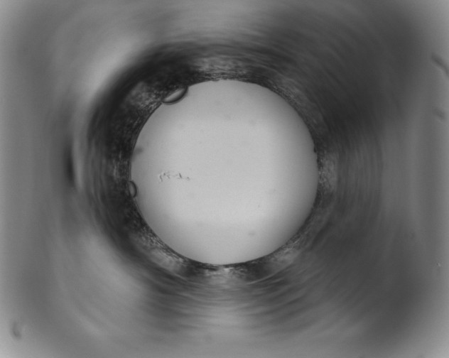 X0000102240430200808081440