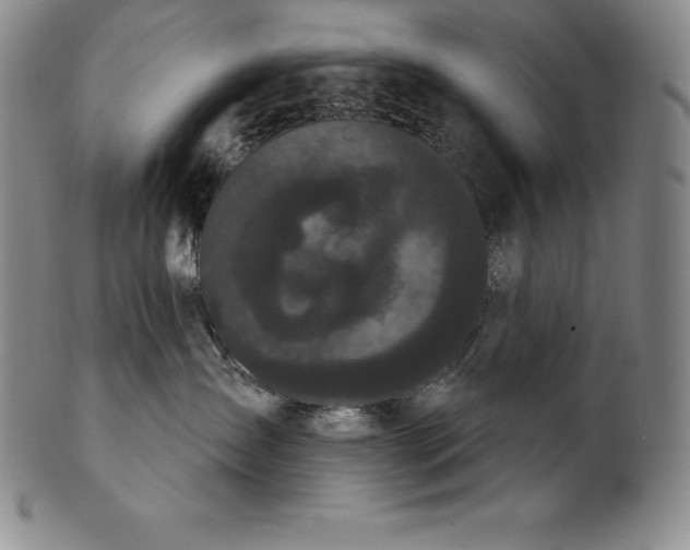 X0000102240431200808081440