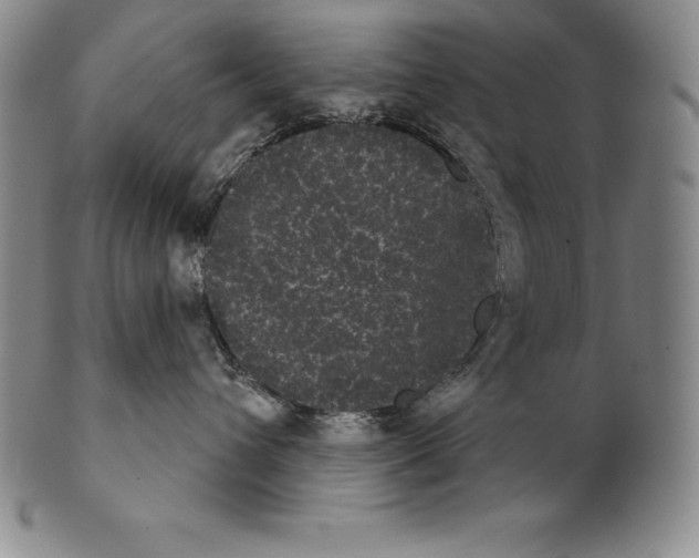 X0000102240432200808081440