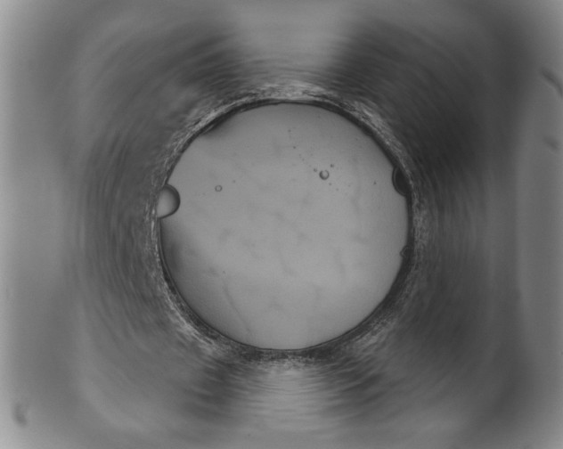 X0000102240433200808081440