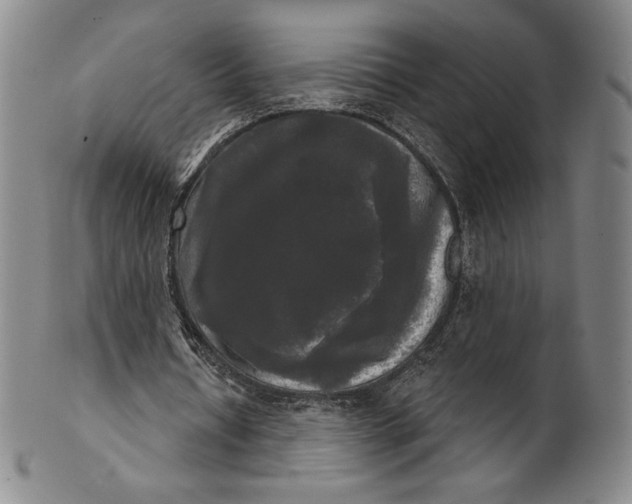 X0000102240434200808081440