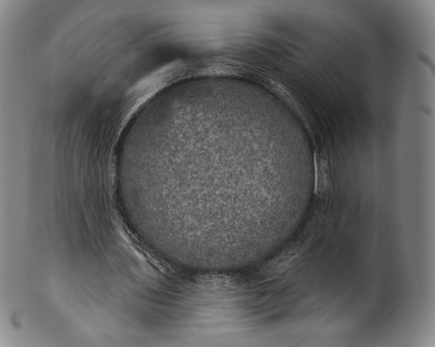 X0000102240435200808081440