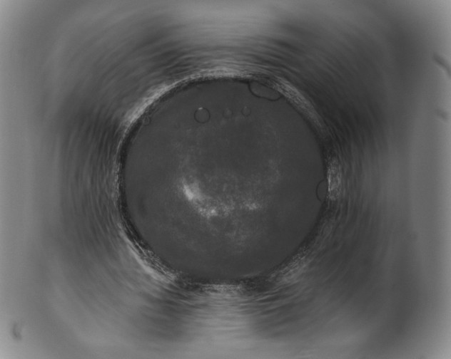 X0000102240436200808081440