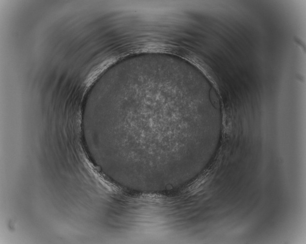 X0000102240437200808081440