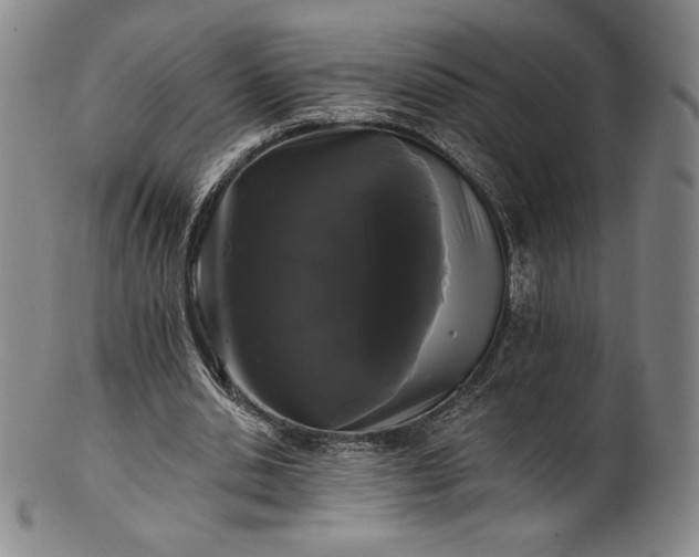 X0000102240438200808081440