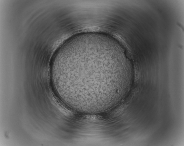 X0000102240439200808081440