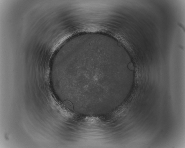 X0000102240440200808081440