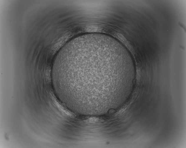 X0000102240441200808081440