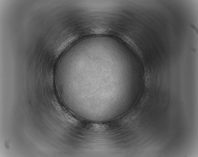 X0000102240442200808081440