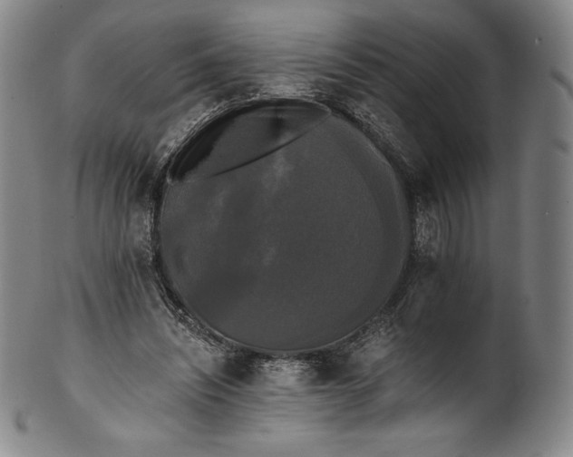 X0000102240444200808081440