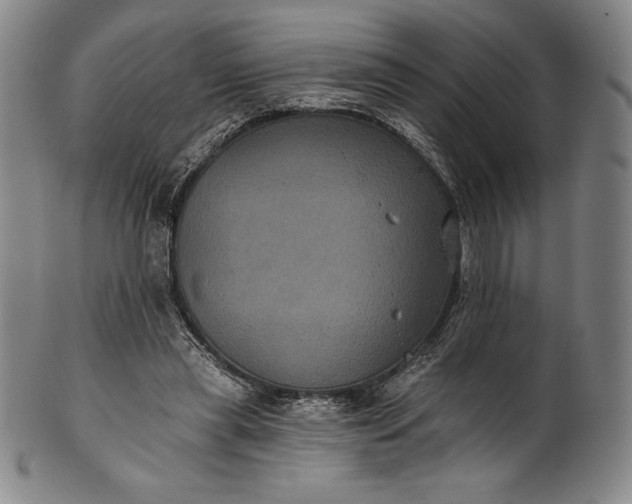 X0000102240445200808081440