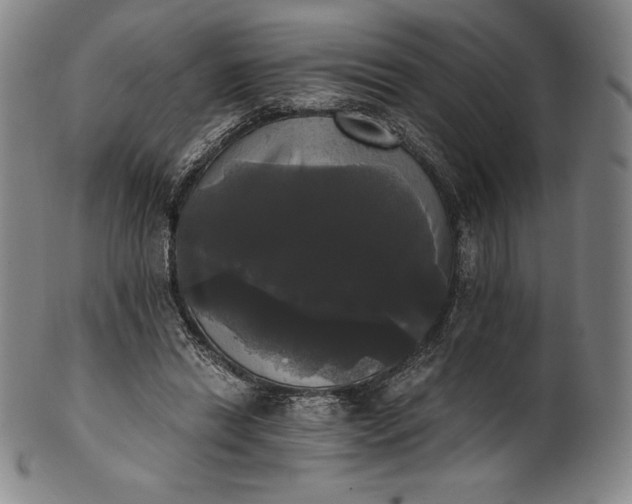 X0000102240446200808081440