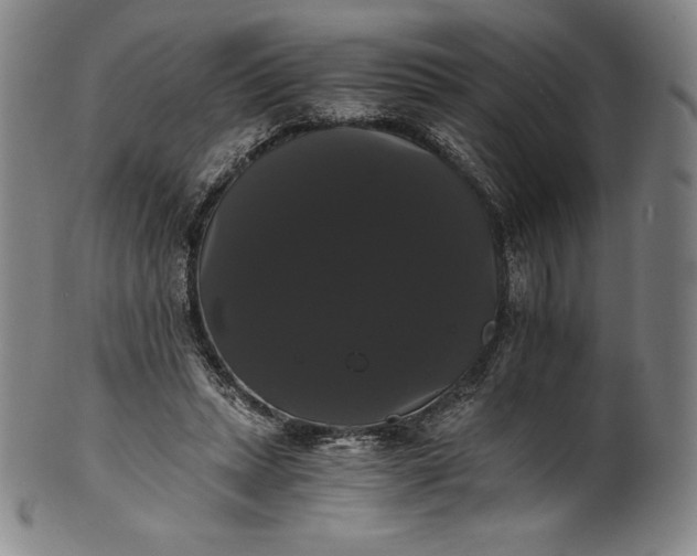 X0000102240447200808081440