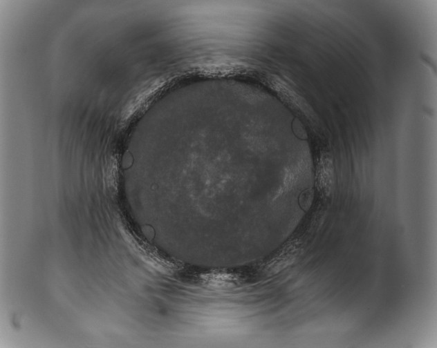 X0000102240448200808081440