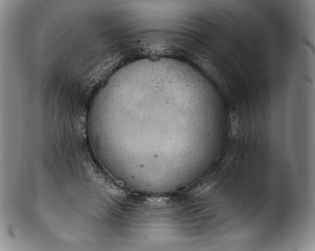 X0000102240450200808081440