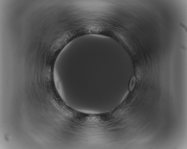 X0000102240451200808081440